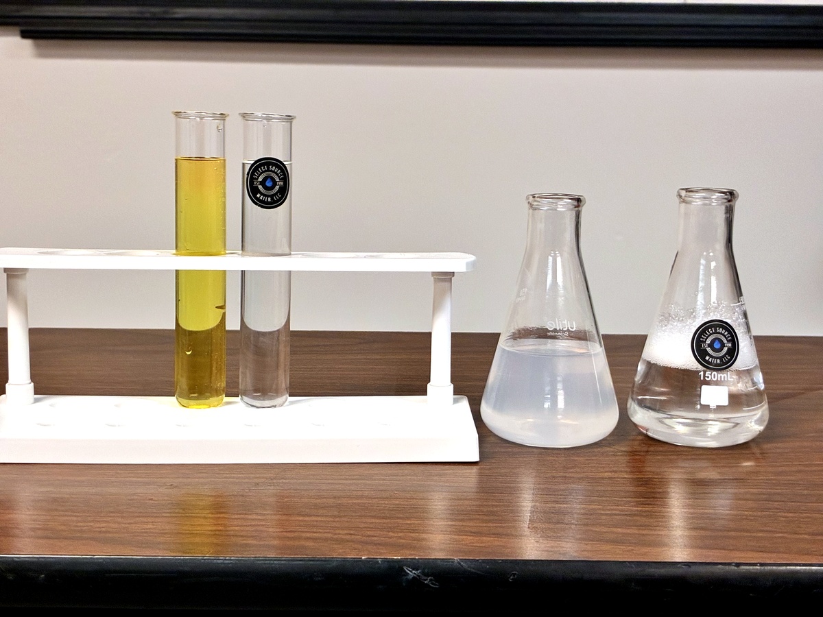 Water samples prepared for an in-home water assessment
